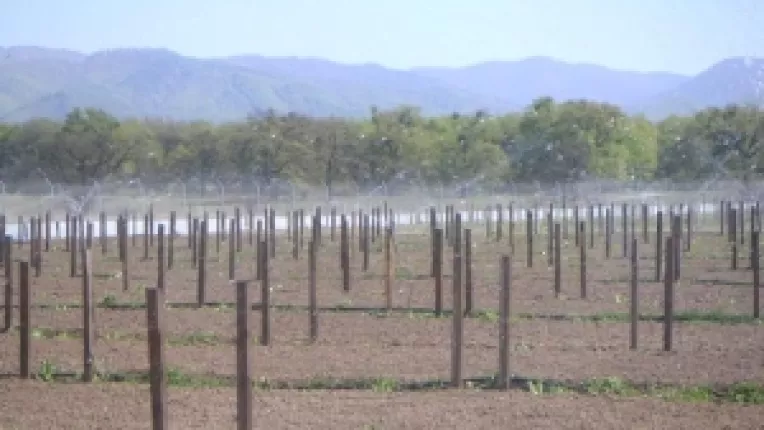 A crescut numarul suprafetelor irigabile