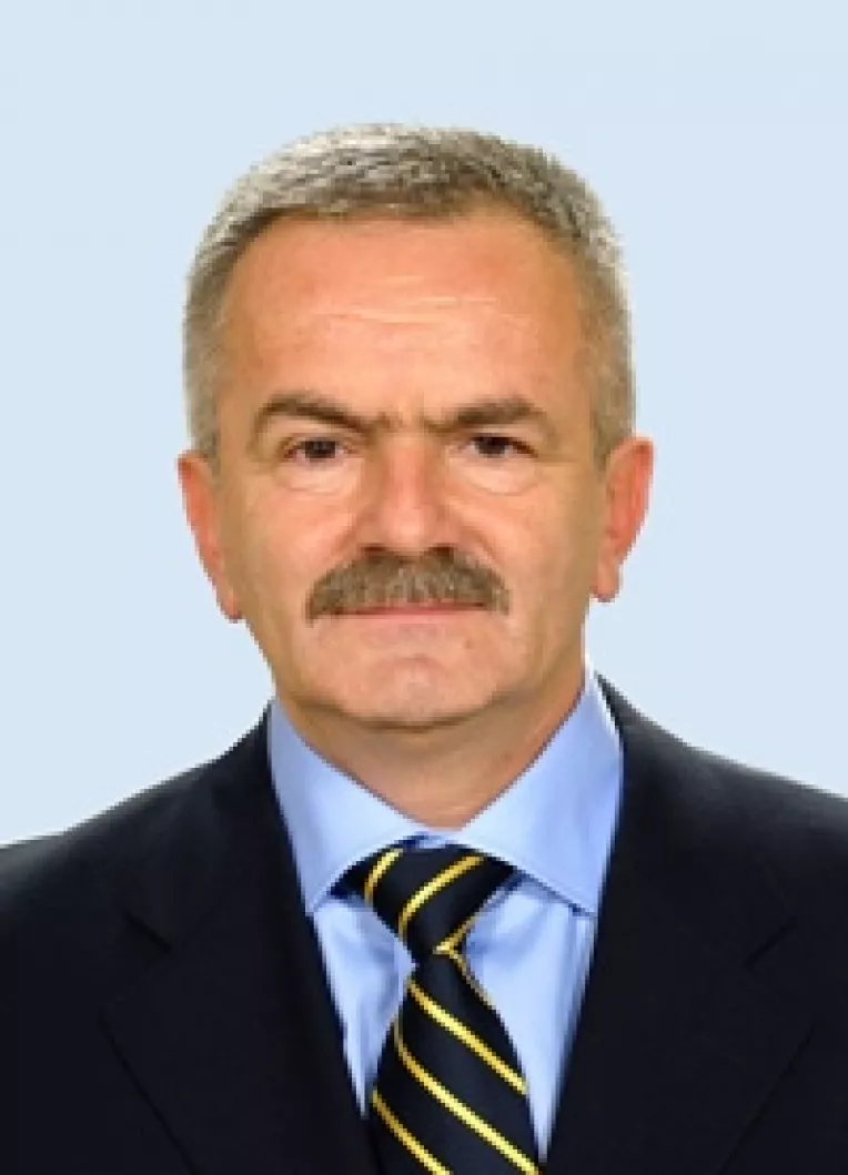 Guvernul Boc: Balbe fara numar