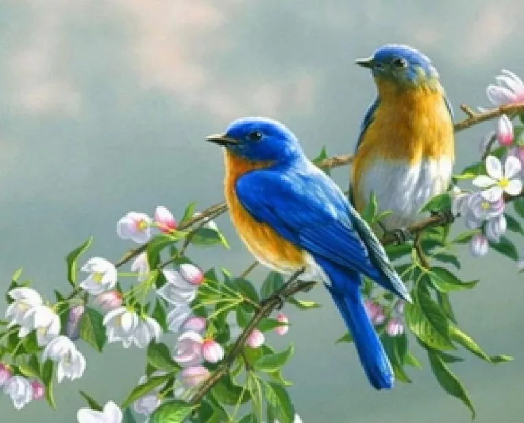 Previziunile celebrului numerolog si astrolog Mihai Voropchievici pentru PRIMAVARA 2019