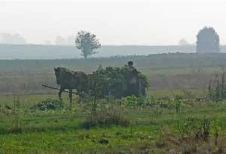 UE subventioneaza dezvoltarea rurala. 40.000 de euro pentru tinerii agricultori