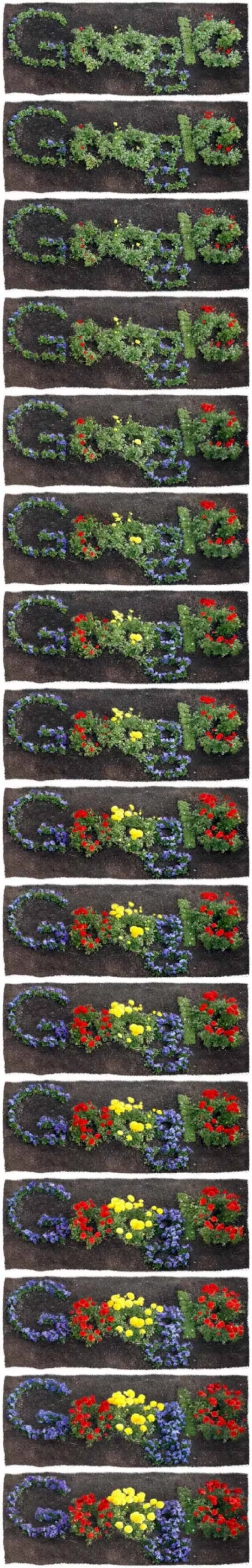 Ziua Pamantului – 22 aprilie 2012 : Sarbatorita de Google printr-un superb logo floral animat